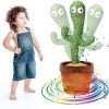 Cactus Bailarin