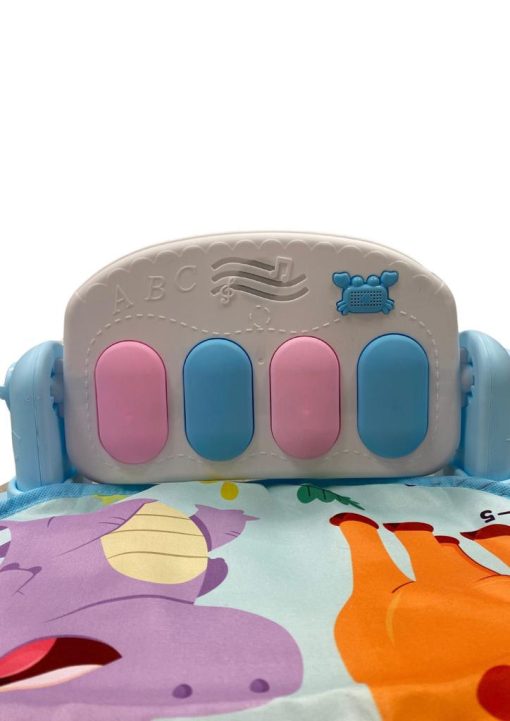 GIMNASIO PIANO : ROSA Y CELESTE - Imagen 8