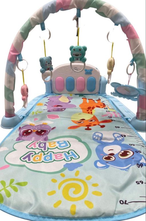GIMNASIO PIANO : ROSA Y CELESTE - Imagen 11