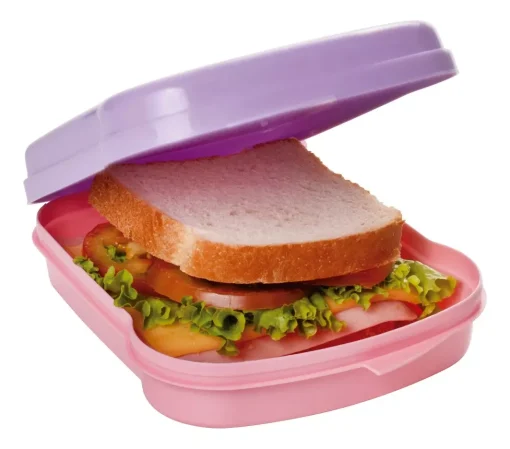 Sandwichera Disney Escolar 17 x 13 cm - Imagen 12