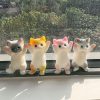 Gato Skusishy